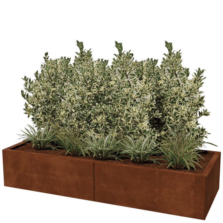 Jardinière en acier Corten XXL - Rectangle - 160 x 60 cm