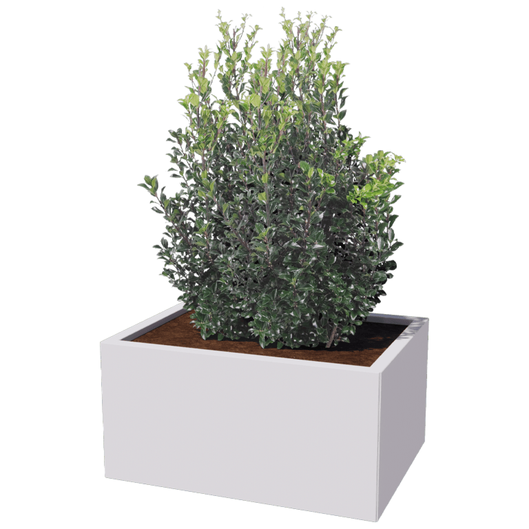 Jardinière en acier - Rectangle - 60 x 80 cm