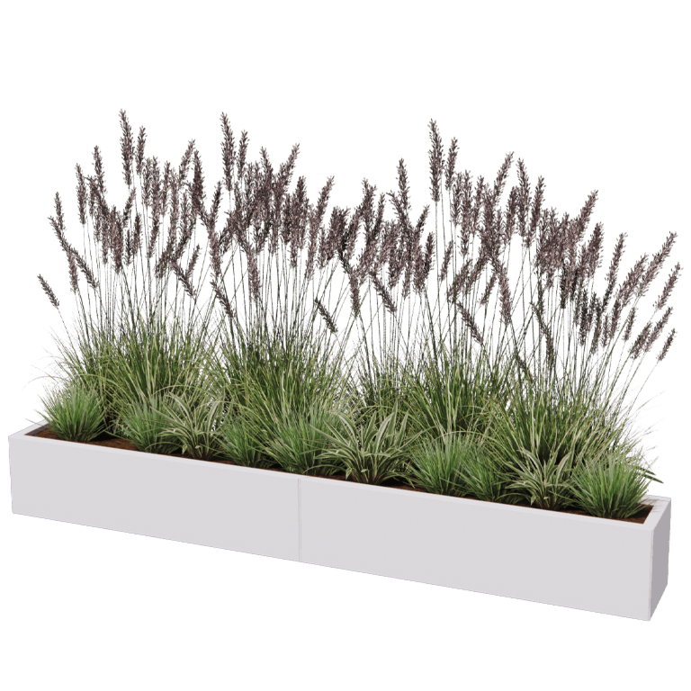 Jardinière en acier XXL - Rectangle - 240 x 30 cm