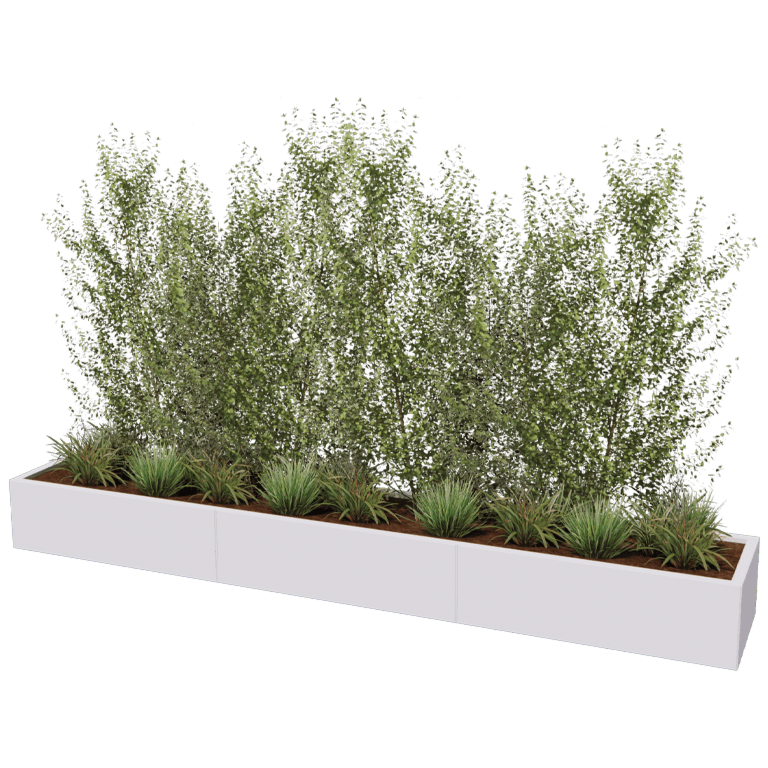 Jardinière en acier XXL - Rectangle - 300 x 50 cm
