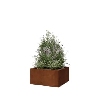 Jardinière en acier Corten - Carré - 60 x 60 x 30 cm - Sanc plaque de fond