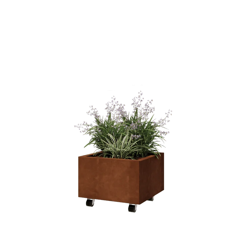 Jardinière en acier Corten - Carré - 50 x 50 x 30 cm - Avec plaque de fond - Avec roulettes