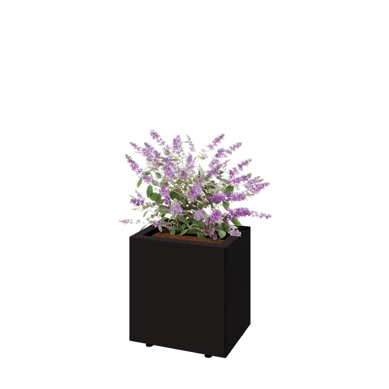 Jardinière en acier - Rectangle - 40 x 30 x 40 cm - RAL9005 mat (noir) - Avec plaque de fond - Avec pieds