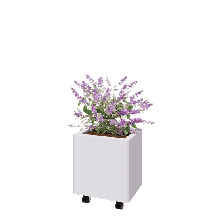 Jardinière en acier - Rectangle - 40 x 30 x 40 cm - RAL9010 mat (blanc) - Avec plaque de fond - Avec roulettes