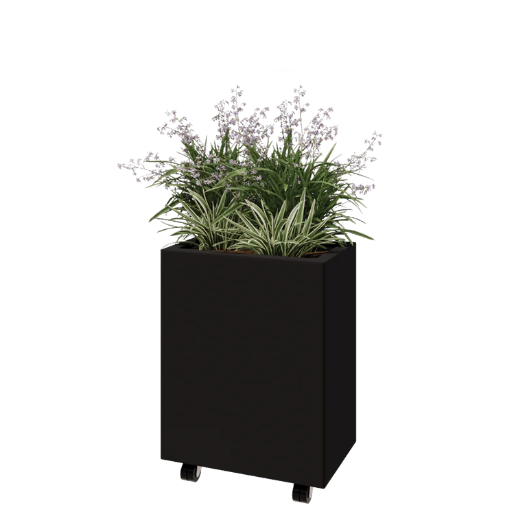Jardinière en acier - Rectangle - 50 x 30 x 60 cm - RAL9005 mat (noir) - Avec plaque de fond - Avec roulettes