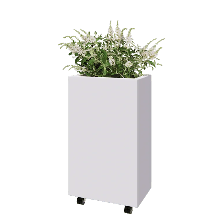 Jardinière en acier - Rectangle - 50 x 30 x 80 cm - RAL9010 mat (blanc) - Avec plaque de fond - Avec roulettes