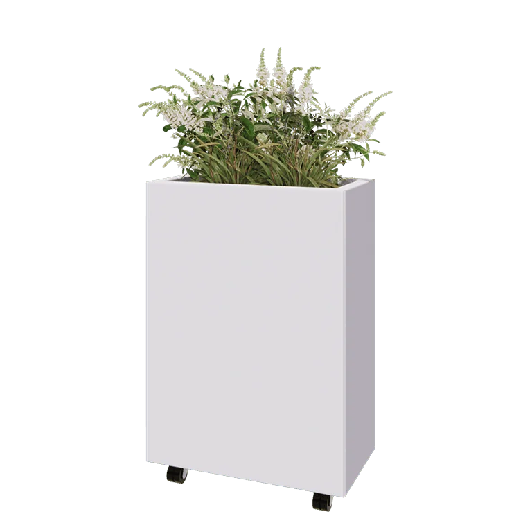 Jardinière en acier - Rectangle - 60 x 30 x 80 cm - RAL9010 mat (blanc) - Avec plaque de fond - Avec roulettes