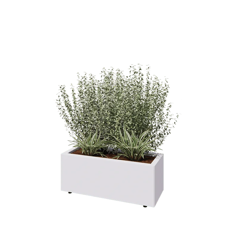 Jardinière en acier - Rectangle - 80 x 30 x 30 cm - RAL9010 mat (blanc) - Avec plaque de fond - Avec pieds