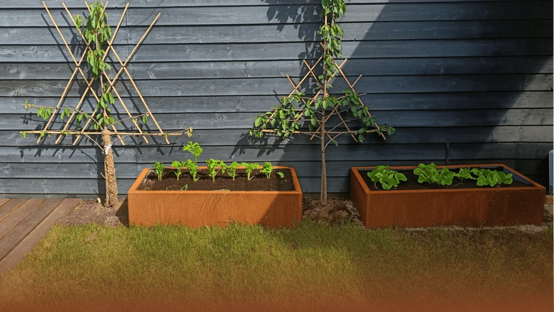 Pourquoi l'acier corten est parfait pour un potager