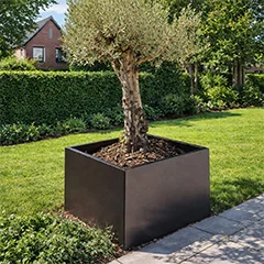 Jardinières en acier dans un jardin épuré pour un style moderne et intemporel